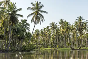 Africa, Tanzania, Tanga, Pangani. A boat excursion on the Pangani river