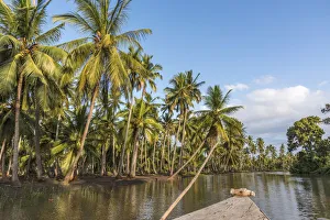 Africa, Tanzania, Tanga, Pangani. A boat excursion on the Pangani river