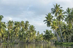 Africa, Tanzania, Tanga, Pangani. A boat excursion on the Pangani river