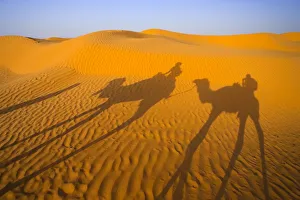 Africa, Tunisia, Ksar Ghilane Desert Oasis