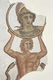 Africa, Tunisia, Tunis, Bardo Museum, Mosaics