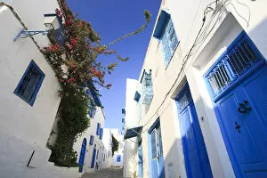Images Dated 27th May 2010: Africa, Tunisia, Village of Sidi Bou Said