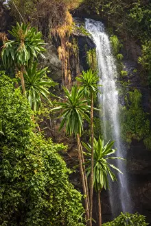 Uganda Prints: Africa, Uganda, Sipi Falls. the second falls seen from the Sipi Rivier lodge