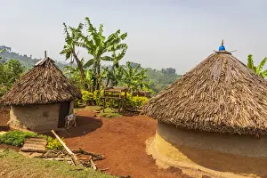 Banana Prints: Africa, Uganda, Sipi Falls. A traditional rural homestead