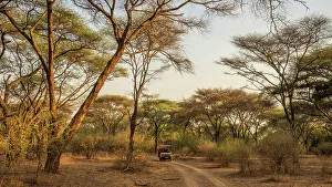 Jeep Prints: Africa, Zambia, North Luangwa National Park