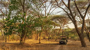 Jeep Prints: Africa, Zambia, North Luangwa National Park