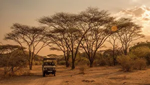 Jeep Prints: Africa, Zambia, North Luangwa National Park