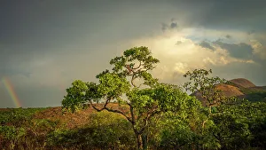 Camp Prints: Africa, Zambia, Northern Zambia
