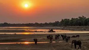 Bank Prints: Africa, Zambia, South Luangwa National Park