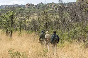 Guide Prints: africa, Zimbabwe, Bulawayo. Rhino tracking in Matobo Hills National Park