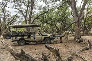 Images Dated 21st December 2017: Africa, Zimbabwe, Hwange National park. Coffee break in the acacia forest during