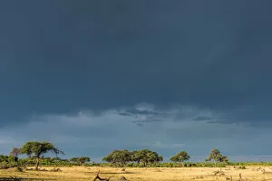Images Dated 21st December 2017: Africa, Zimbabwe, Hwange National park. Rainbow after a thunderstorm in wet season