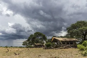 Africa, Zimbabwe, Hwange National Park. Tented camp in the bush