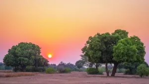 Eastern Africa Prints: africa, Zimbabwe, Mana Pools National Park. Sunset