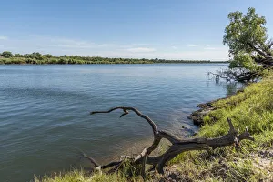 Africa, Zimbabwe, Matabeleland north. View across the Zambezi River