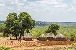 Tribal Gallery: Africa, Zimbabwe, Matabeleland north. A traditional rural homestead