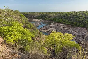 Riverbed Prints: africa, Zimbabwe, the Save River near Gonarezhou National Park