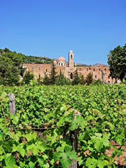 Wine Prints: Agia Triada Monastery Vineyard, Akrotiri Peninsula, Chania Region, Crete, Greece