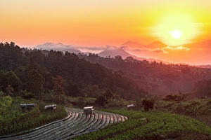Rural Scene Prints: Agricultural fields and farms at dawn, Nepal Van Java, Magelang, Central Java, Indonesia
