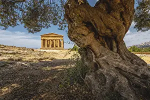 Doric Prints: Agrigento, Sicily, Italy. Temple of Concordia in the Valley of the Temples