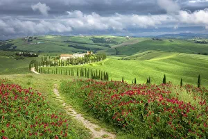 S Bend Prints: Agritourismo Baccoleno, Asciano, Le Crete Senesi, Provincia di Siena, Tuscany, Italy