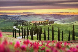 Images Dated 26th June 2023: Agritourismo Baccoleno, Asciano, Le Crete Senesi, Provincia di Siena, Tuscany, Italy