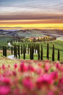 Images Dated 26th June 2023: Agritourismo Baccoleno, Asciano, Le Crete Senesi, Provincia di Siena, Tuscany, Italy