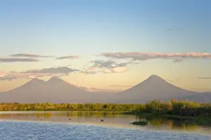 Volcanoes Prints: Agua and Pacaya Volcanoes, Monterrico-Hawaii Nature Reserve (Monterrico-Hawaii Biotopo)