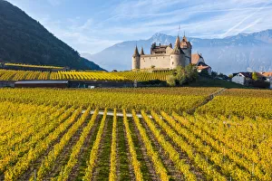 Aigle Castle, Aigle, Canton of Vaud, Switzerland, Europe