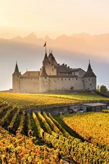 Images Dated 5th February 2019: Aigle Castle, Aigle, Canton of Vaud, Switzerland, Europe
