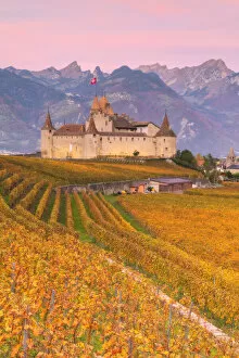 Images Dated 15th October 2021: Aigle Castle, Aigle, Canton of Vaud, Switzerland
