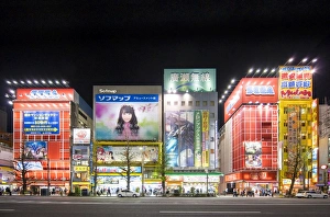 Commercial Prints: Akihabara electronic town, Tokyo, Japan