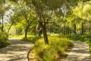 Images Dated 11th November 2021: Al Noor Island, Sharjah, United Arab Emirates