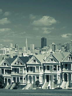 Alamo Square Gallery: Alamo Square