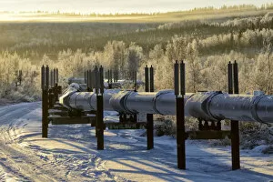 Alaska Gallery: Alaska Pipeline Fairbanks, Alaska, USA