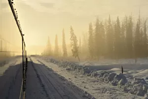Images Dated 2nd May 2014: Alaska Railroad trip from Anchorage to Fairbanks in the winter, Alaska, USA
