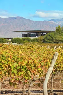 Produce Prints: The Alfa Crux winery (former O)