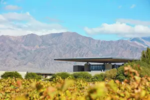 Produce Prints: The Alfa Crux winery (former O)