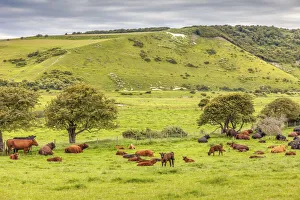 Figure Gallery: Alfriston White Horse, East Sussex, England
