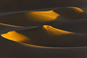 Dune Prints: Algeria, Sahara, Last rays of sun on a group of dunes