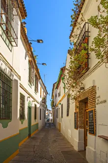 White Houses Prints: Alley at Cordoba, Andalusia; Spain