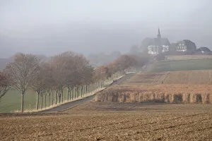 Hesse Prints: Alley of trees to the Kreuzkapelle above Bad Camberg, Hesse, Germany