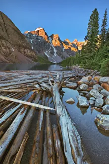 Alluvial driftwood at sea - Canada, Alberta, Banff National Park