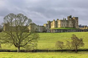 Northumberland Prints: Alnwick Castle from the Pastures, Northumberland, England. Winter (March) 2025