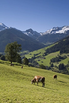Alpbach, Tirol
