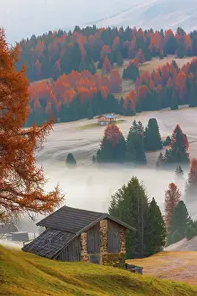 Val Gardena Prints: Alpe di Siusi in the Dolomites and the Sassolungo and Sassopiatto mountain