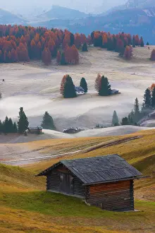 Trentino Prints: Alpe di Siusi in the Dolomites and the Sassolungo and Sassopiatto mountain