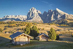 Langkofel Prints: Alpe di Siusi with Mount Sassolungo and Mount Sassopiatto on yhe background, South tyrol