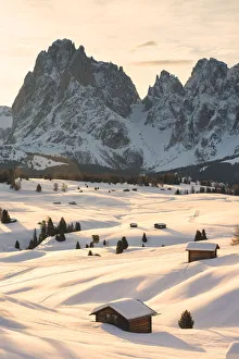 Alpe di Siusi / Seiser Alm, Dolomites, South Tyrol, Italy