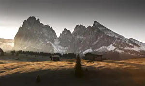Alpe di Siusi / Seiser Alm, Dolomites, South Tyrol, Italy